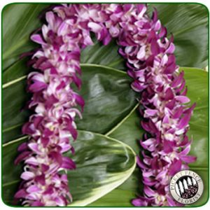 Double Orchid Lei