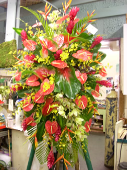 Sympathy Arrangements 1