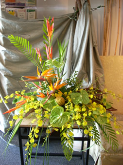 Sympathy Arrangements 3