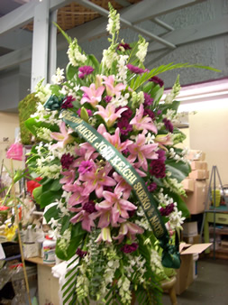 Sympathy Arrangements 6