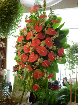 Sympathy Arrangements13