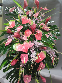 Sympathy Arrangements38