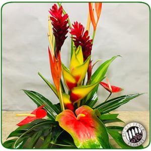 Tropical Beauty