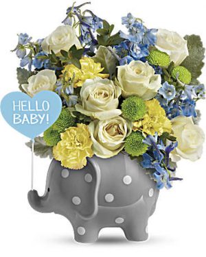 Hello Sweet Baby Blue 