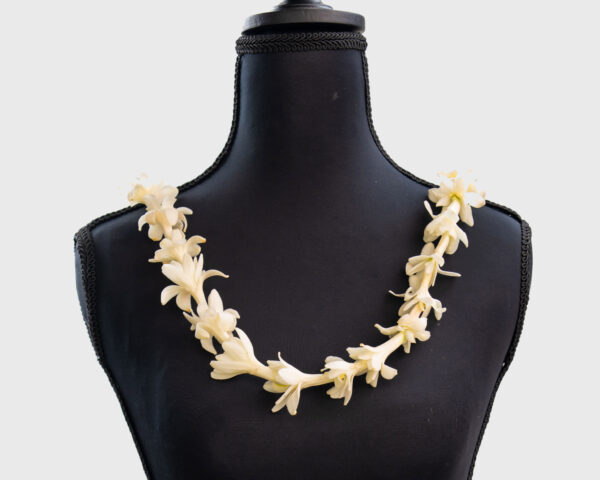 299 Single Tub Lei Side 2