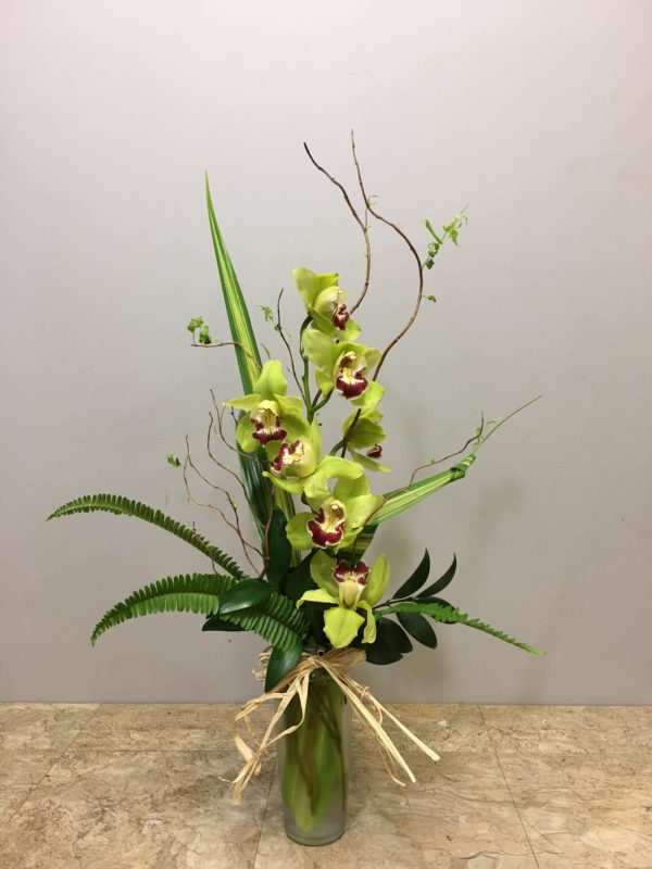 Orchid Elegance