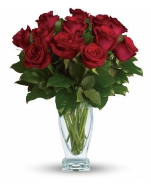 dozen long stem red roses in vase