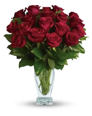 dozen and half long stemmed red roses