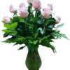 Dozen Long Stemmed Pink Roses in a vase
