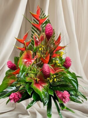 The Hilo Special
