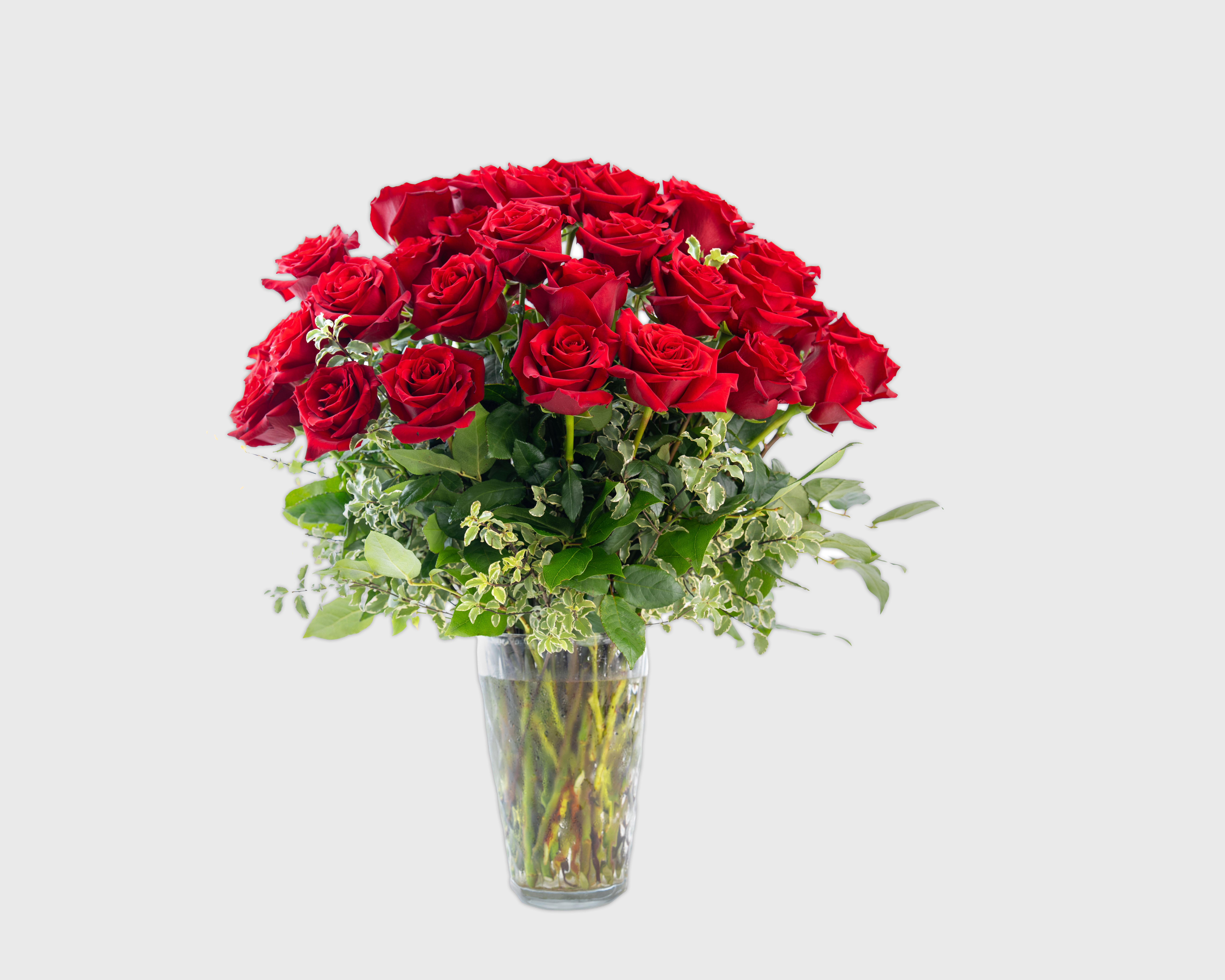 81 Vased Three Dozen Red LS Roses